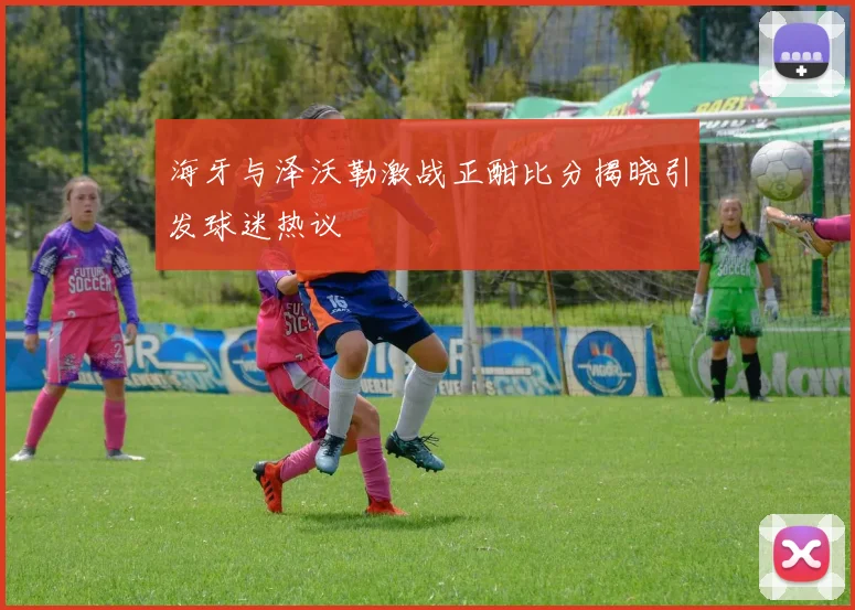 海牙与泽沃勒激战正酣比分揭晓引发球迷热议
