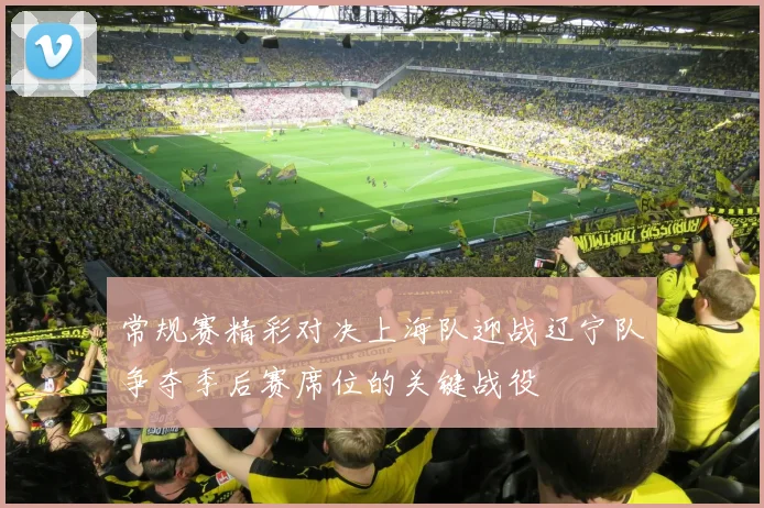 常规赛精彩对决上海队迎战辽宁队争夺季后赛席位的关键战役