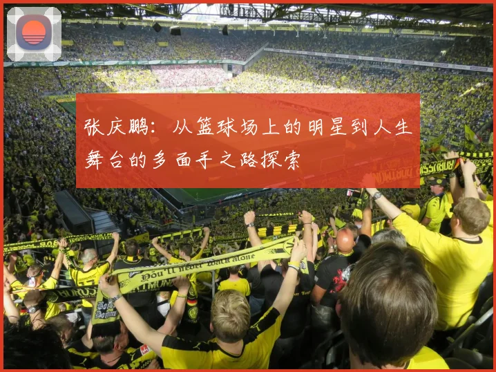 张庆鹏：从篮球场上的明星到人生舞台的多面手之路探索